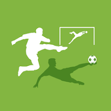 开体育app官网入口